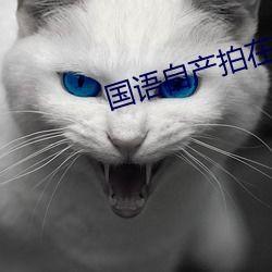 国语自产拍在线视频直播,打造本土文化新风尚